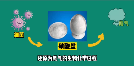什么是污水處理中的反硝化？
