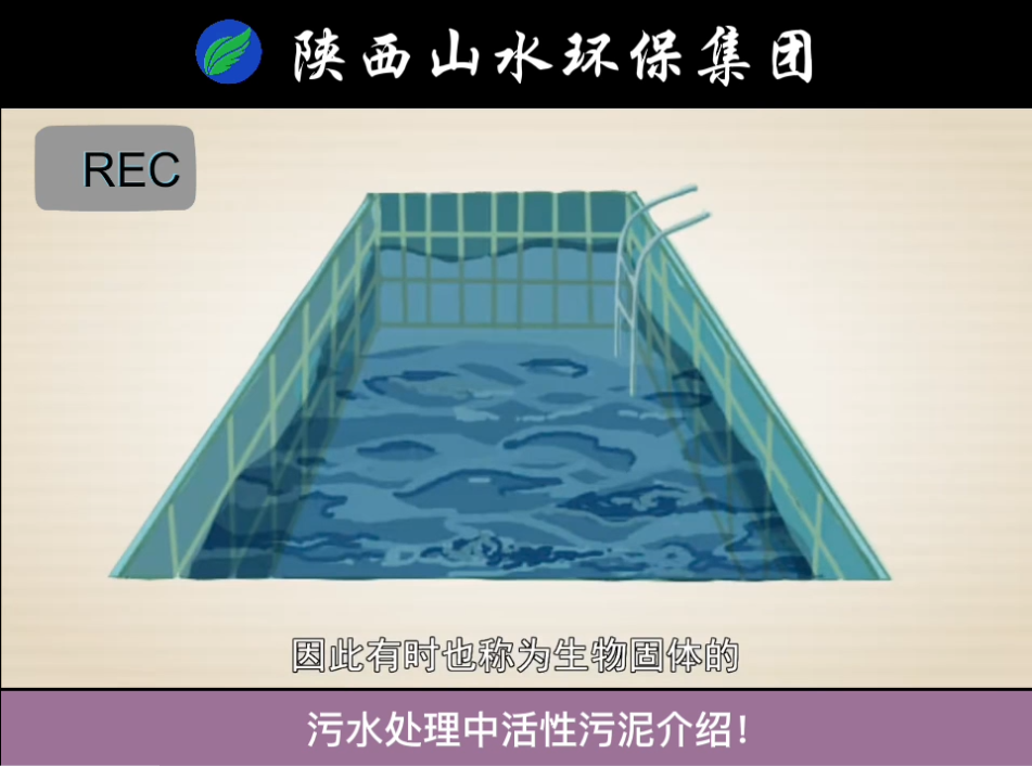 污水處理中活性污泥介紹！